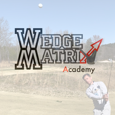 WedgeMatrix Academy Membership